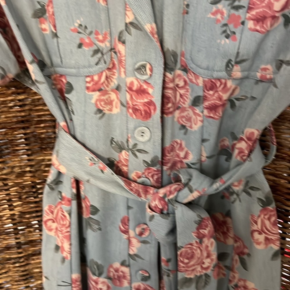 Rose Button-Up Dress - Picture 4 of 7